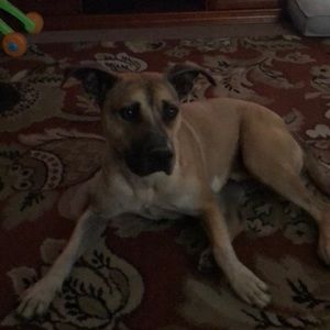 Meet your Posher, Kandice